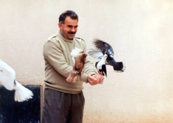 DBP’den hükümete ‘umut hakkı’ çağrısı: Kararlar uygulanmalı