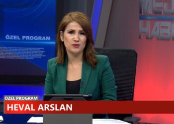 Gazeteci Heval Arslan gözaltına alındı