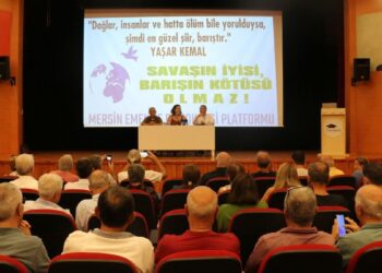 Mersin’de ‘Ortadoğu’da Barışa Giden Yol’ paneli