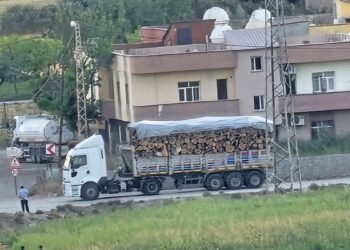 Gabar’da ağaç kesimi sürüyor
