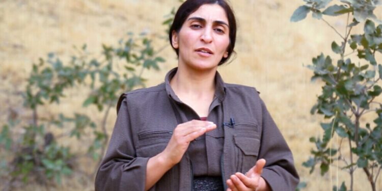 Zilan Vejîn: İran’ın en büyük korkusu kadın mücadelesidir