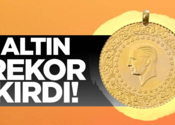 Altında 45 Yıllık Tarihi Rekor! Ekonomist İris Cibre Yaklaşan Tehlikeyi Açıkladı: Sil Baştan Değişiyor