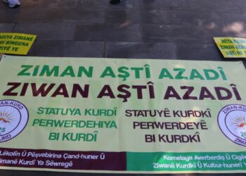 'Anadilde eğitim için bir an önce adım atılsın'