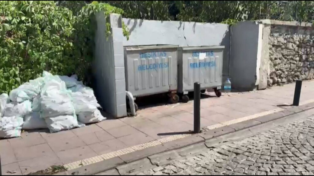 Beşiktaş'ta çöp konteynerinin yanında yanık ve kesik izleri olan bebek cesedi bulundu; gözaltına alınan anne tutuklandı