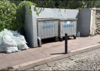 Beşiktaş'ta çöp konteynerinin yanında yanık ve kesik izleri olan bebek cesedi bulundu; gözaltına alınan anne tutuklandı