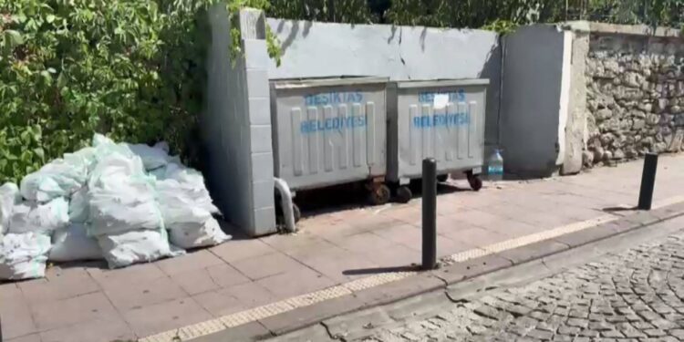 Beşiktaş'ta çöp konteynerinin yanında yanık ve kesik izleri olan bebek cesedi bulundu; gözaltına alınan anne tutuklandı