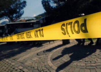 Birini ben, diğerini Suriyeli Mamo vurdu