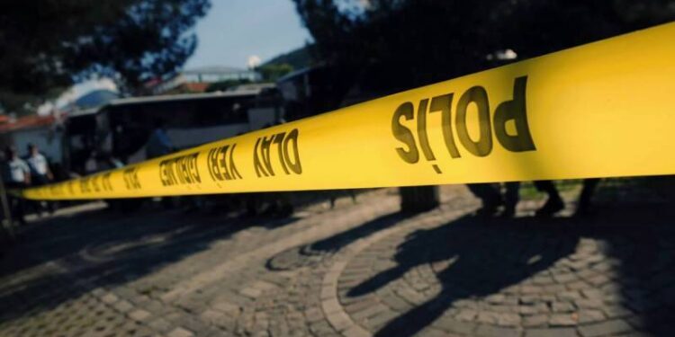 Birini ben, diğerini Suriyeli Mamo vurdu