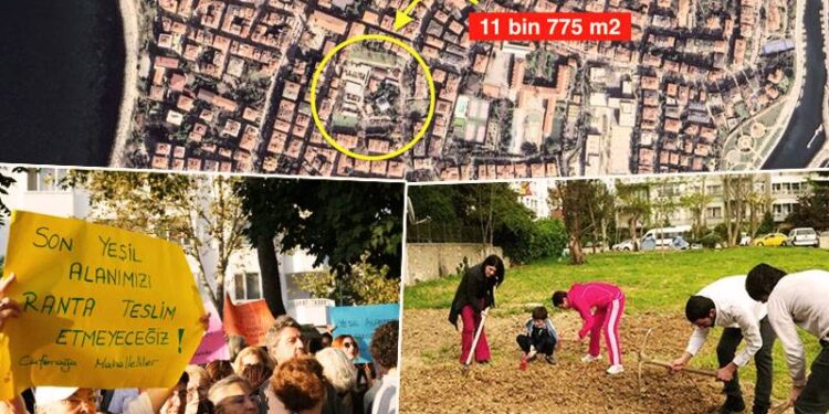 Caferağa Afet Koordinasyon Alanı imara açıldı