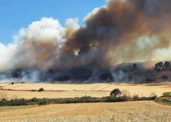 Çanakkale'deki Orman Yangın Kontrol Altına Alındı