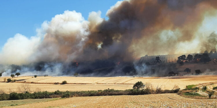 Çanakkale'deki Orman Yangın Kontrol Altına Alındı