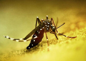 Çin'de Alarm! Halk Sağlığı Acil Durumu İlan Edildi