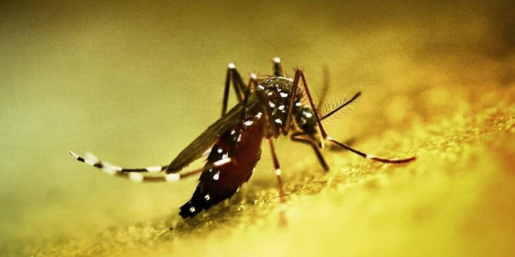 Çin'de Alarm! Halk Sağlığı Acil Durumu İlan Edildi