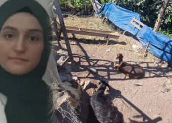 Diyarbakır'da Korkunç Olay! Yerde Yatan Keçiye Dokununca Öldü