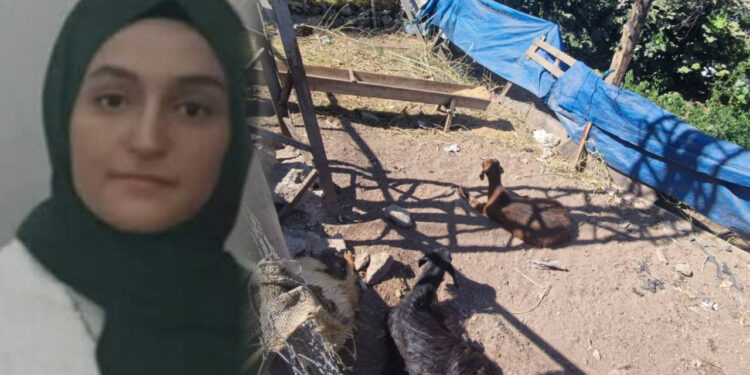 Diyarbakır'da Korkunç Olay! Yerde Yatan Keçiye Dokununca Öldü