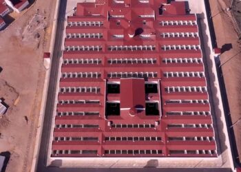 F tiplerinin devamı niteliğinde, insan onuruyla bağdaşmıyor