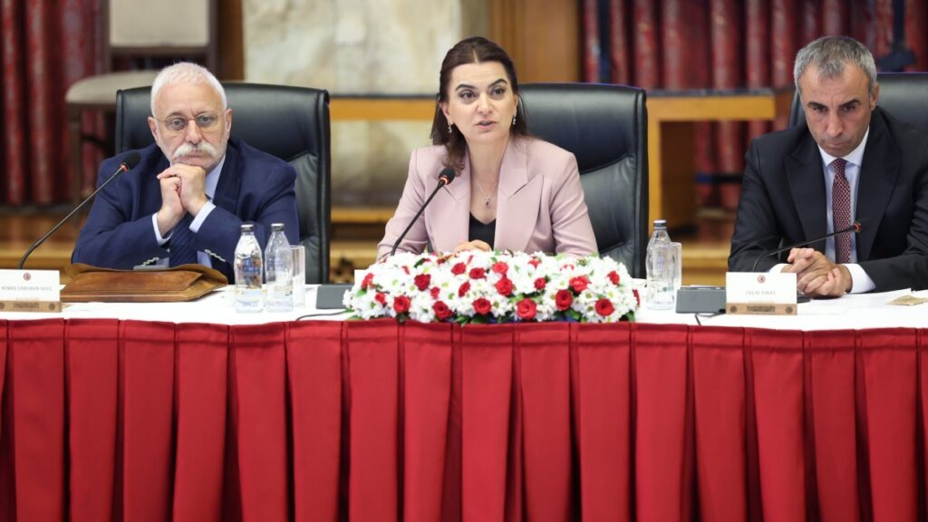 Gülistan Kılıç Koçyiğit: Antidemokratik uygulamalar süreci zehirliyor