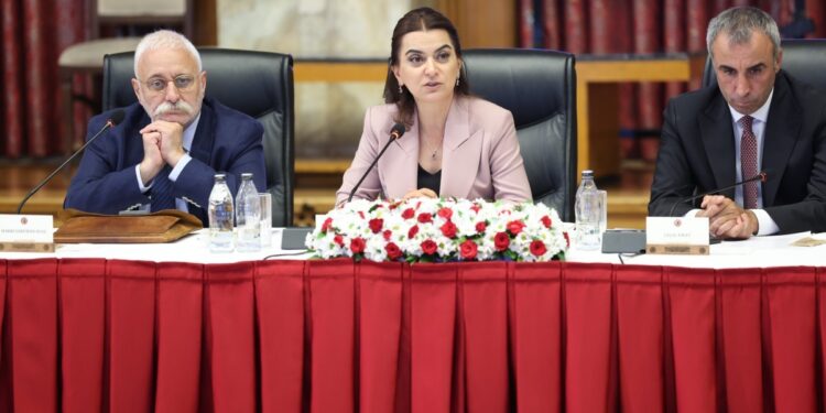 Gülistan Kılıç Koçyiğit: Antidemokratik uygulamalar süreci zehirliyor