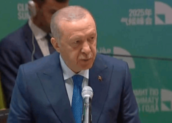 'İklim Zirvesi'nde Konuştu: Cumhurbaşkanı Erdoğan'dan 'Yeşil Finans' Vurgusu