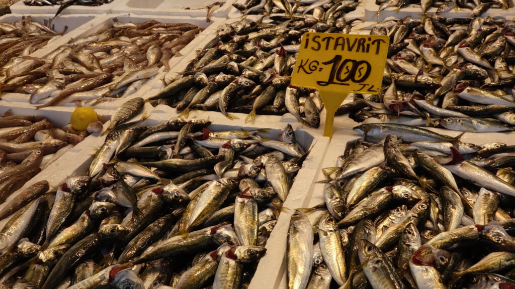 İlk haftada balık fiyatları belirlendi
