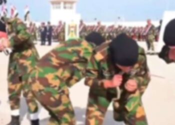 İnsanlıktan utandıran görüntüler: Ordudan mezun olan kadınlar hayvanları canlı canlı yedi