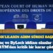KHK’lıların AİHM süreci başladı: İhraç edilen ve haklarında ByLock iddiası bulunanlar için Anayasa Mahkemesi’nden kritik bir karar çıktı