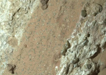 Mars'ın 'leopar desenli' kayalarında geçmiş yaşamın izleri bulunmuş olabilir