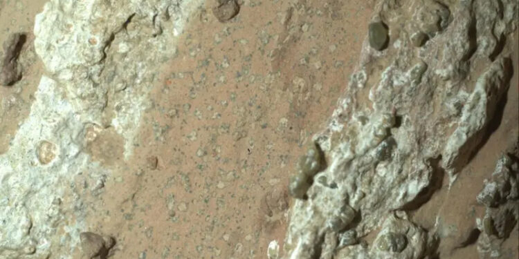 Mars'ın 'leopar desenli' kayalarında geçmiş yaşamın izleri bulunmuş olabilir