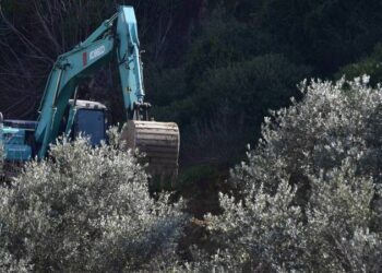 Muhalefet partileri, zeytinlikleri madene açan kanunun durdurulması ve iptali için AYM'ye başvurdu