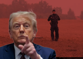 NATO Toprağında Rus Dronları Alarmı! Trump’tan 'Başlıyoruz' Çıkışı