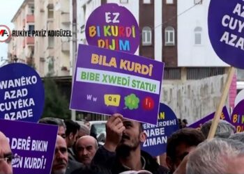 ÖHD'li Gökdemir: Kürtçe'ye statü tanınmalı, gerekli kanunlar düzenlenmeli