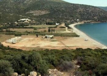 Ormanlara 5 yıldızlı otel yapılacak