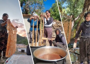 Pasûr'da bağbozumu mevsimi başladı