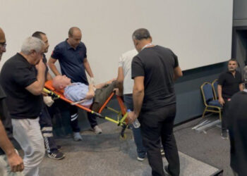 Sosyolog İsmail Beşikçi Beyin Kanaması Geçirdi