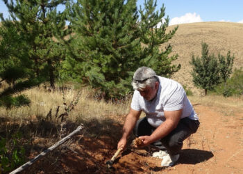 Toprak Altında Saklı Servet: Taşların Arasından Tek Tek Ayıklıyor, Gramı Altınla Yarışıyor