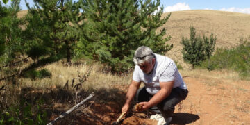 Toprak Altında Saklı Servet: Taşların Arasından Tek Tek Ayıklıyor, Gramı Altınla Yarışıyor