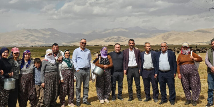 Yüksekova’da Şap Hastalığında Yeni Gelişme! Kontrol Altına Alındı