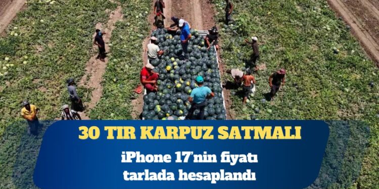 iPhone 17’nin fiyatı tarlada hesaplandı: 30 tır karpuz