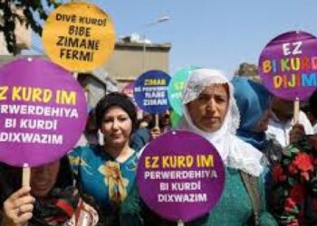 ‘Komisyon anadilde eğitimin önündeki bariyerleri kaldırmalı’