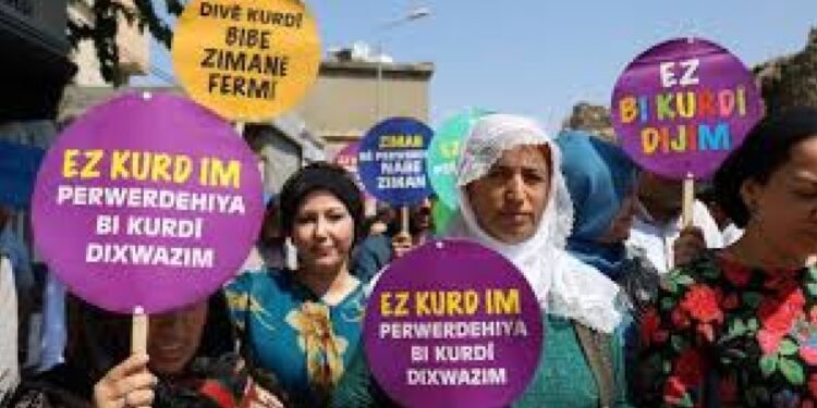 ‘Komisyon anadilde eğitimin önündeki bariyerleri kaldırmalı’