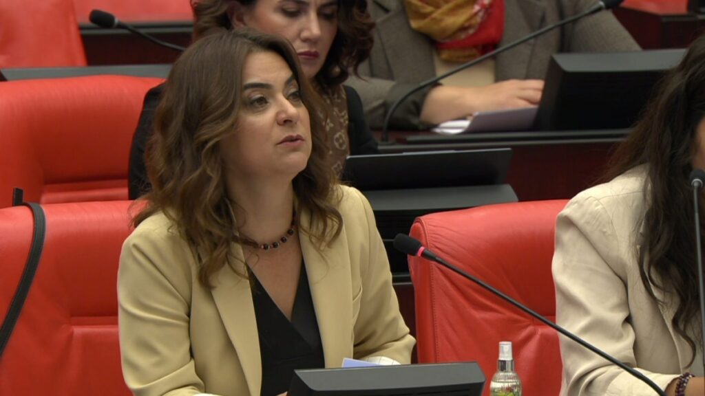 ‘Barış ve Demokratik Toplum Çağrısı komployu boşa çıkardı’