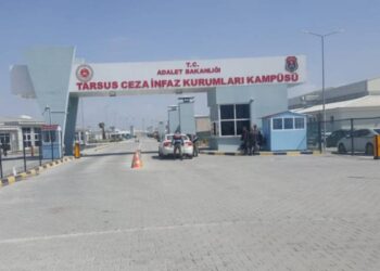 78 yaşındaki ağır hasta tutsak Bese Ecer ölüme terk edildi
