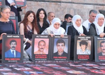 İHD ve kayıp yakınları Aslan, Narin ve Gümüş’ün akıbetini sordu