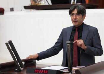 DEM Parti’li Bozan: Anadilde eğitim için adımalar atılmalı