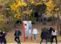 Hacettepe Üniversitesi’nde ırkçı saldırı