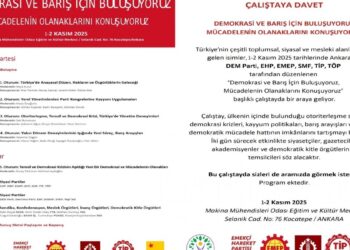 Sosyalist parti ve örgütlerden ‘süreç’ çalıştayı