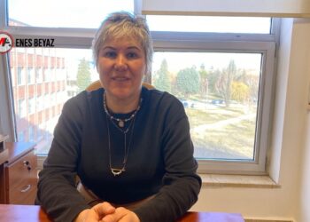 Akademisyen Yasemin Özgün: İktidarın adım atmaması süreci tıkıyor