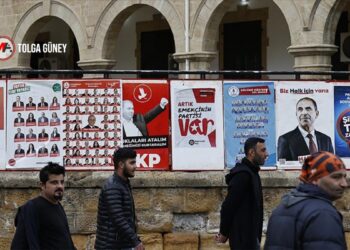 ‘Kıbrıs’ta seçimler irademizi yansıtmıyor’