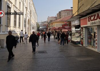 ‘Komisyon İmralı’ya gitmeli’