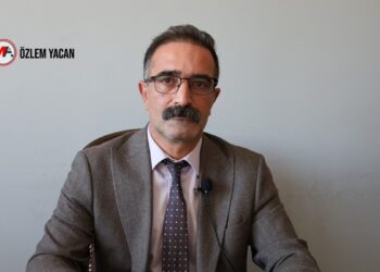 ÖHD’li Özgökçe: Demokratik entegrasyon için anayasal düzenleme şart
